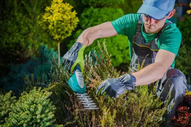 landscaping services Mount Pleasant